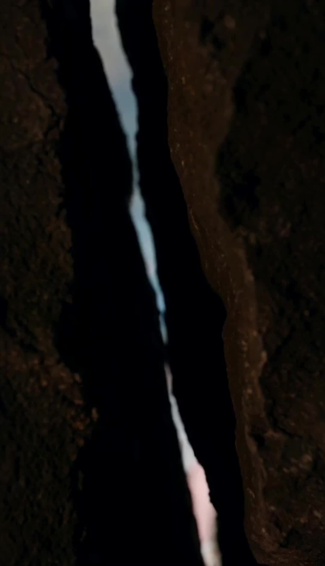 Marked by the Rogue Wolf King