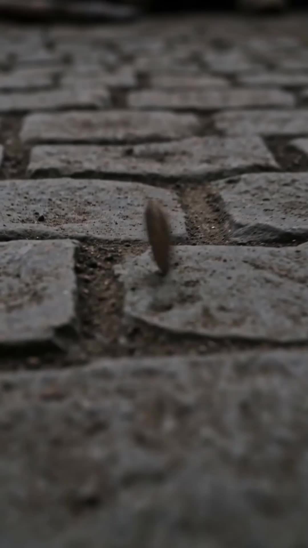 Il Guardiano Ripudiato: L'Ultima Speranza del Regno