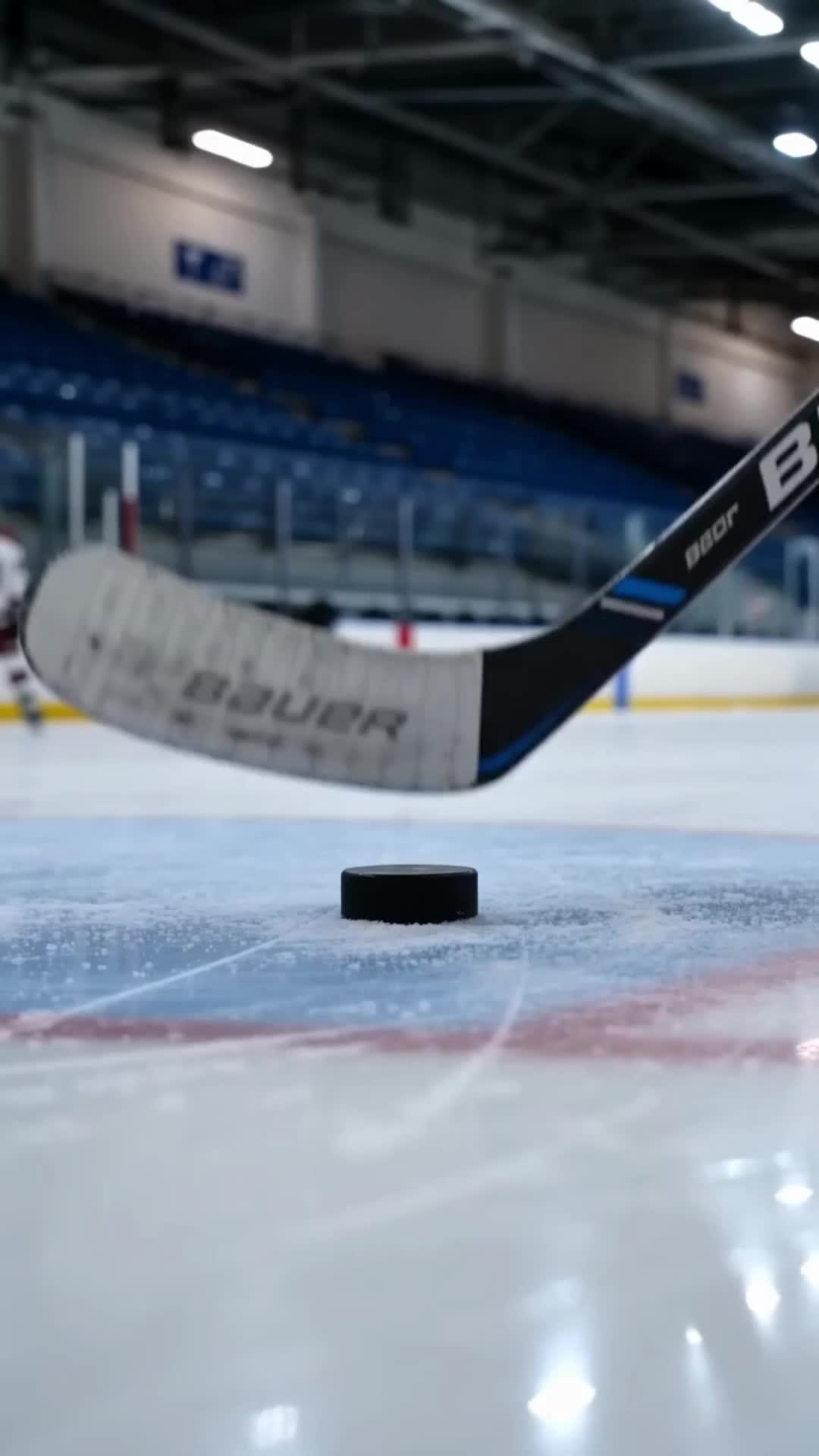 My Ice Hockey Husband Faked Our Marriage So I Joined His Rival