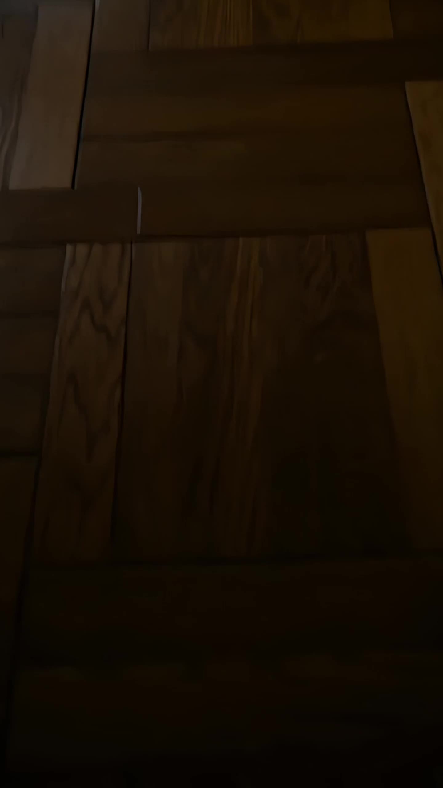 Goodbye My Fated Mate, I Married Your Alpha King