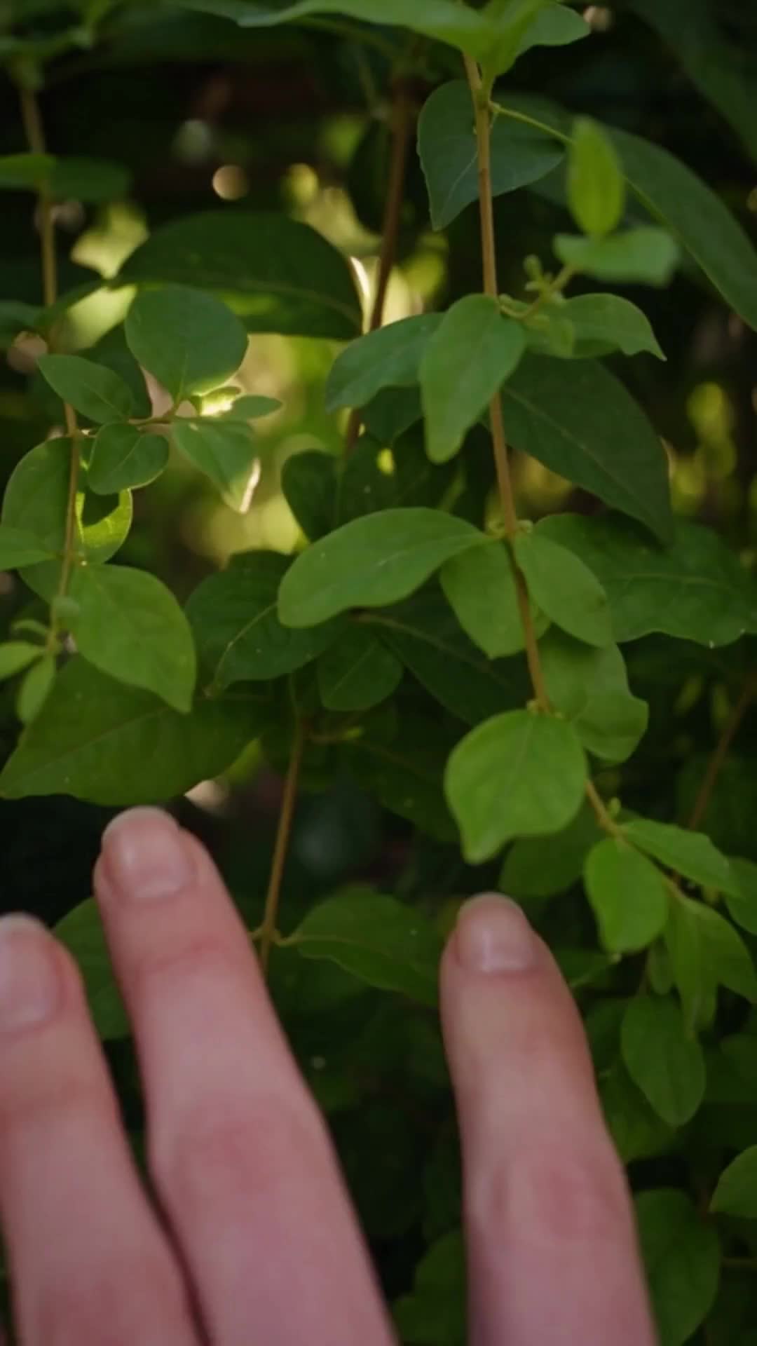 Ich habe mit Tieren gesprochen und jeden ungelösten Fall aufgeklärt
