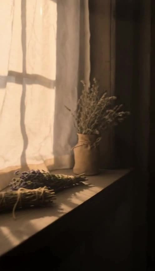 After the Broken Bond, I Fell into the Alpha's Arms