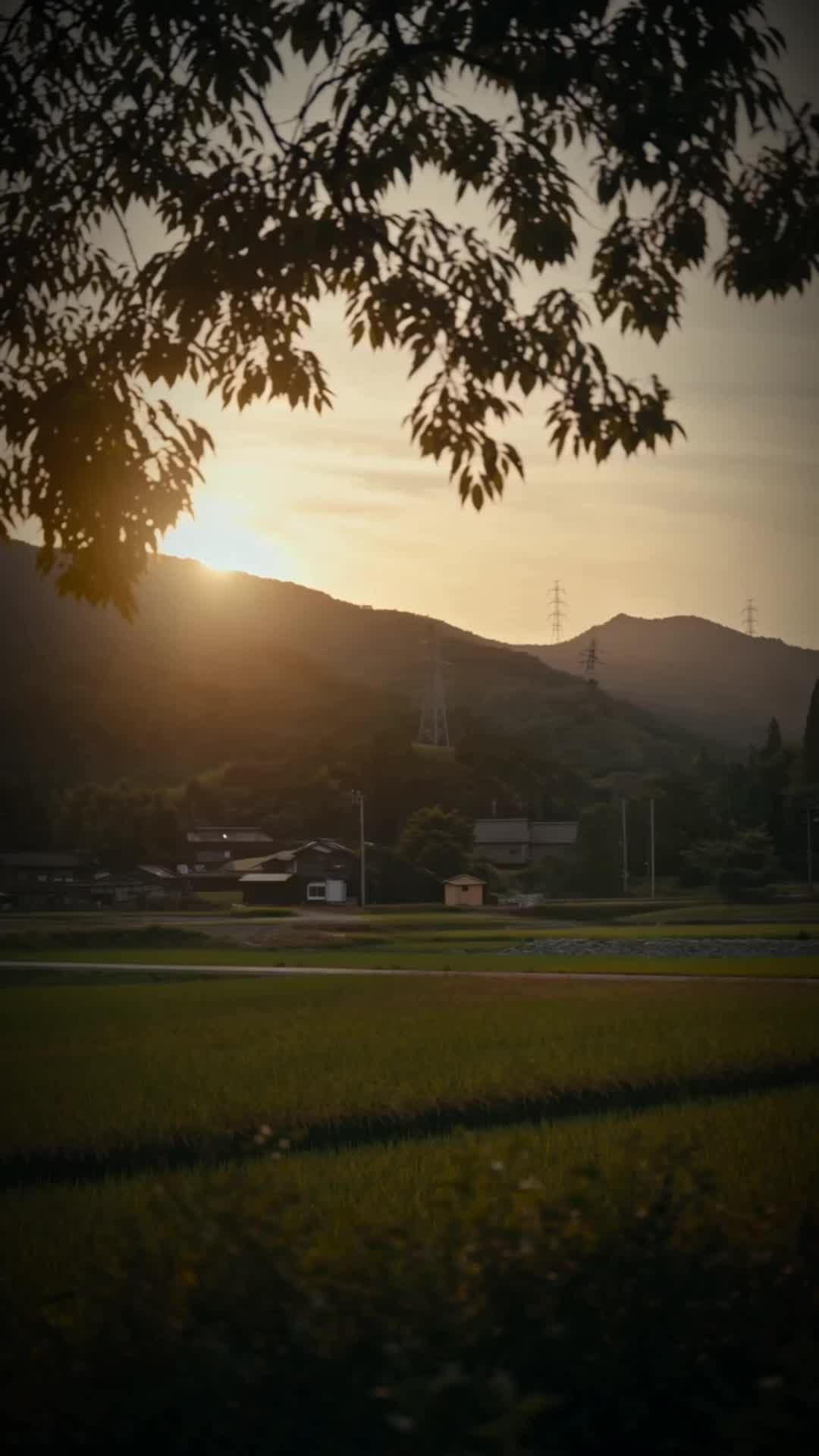 復縁がお断りです~元夫の後悔が始まった~
