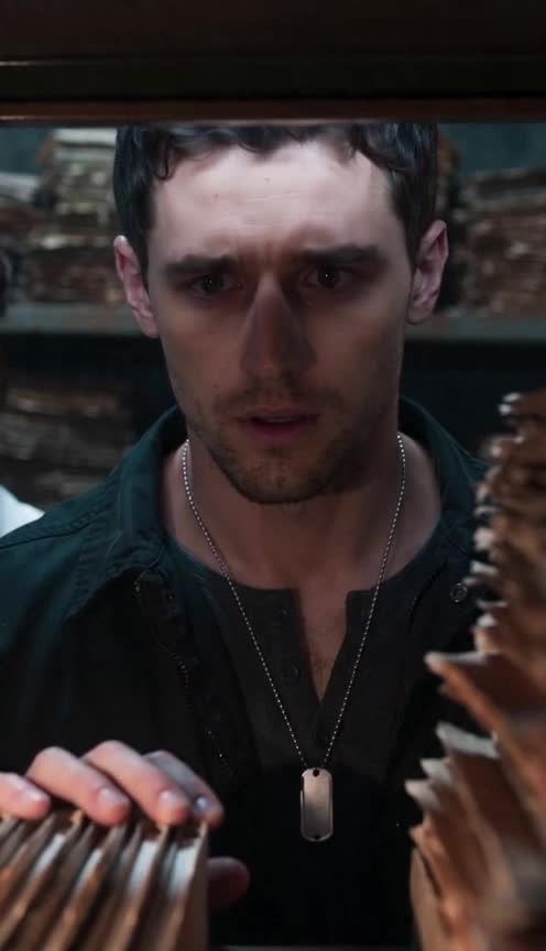 The Alpha's Stolen Twins