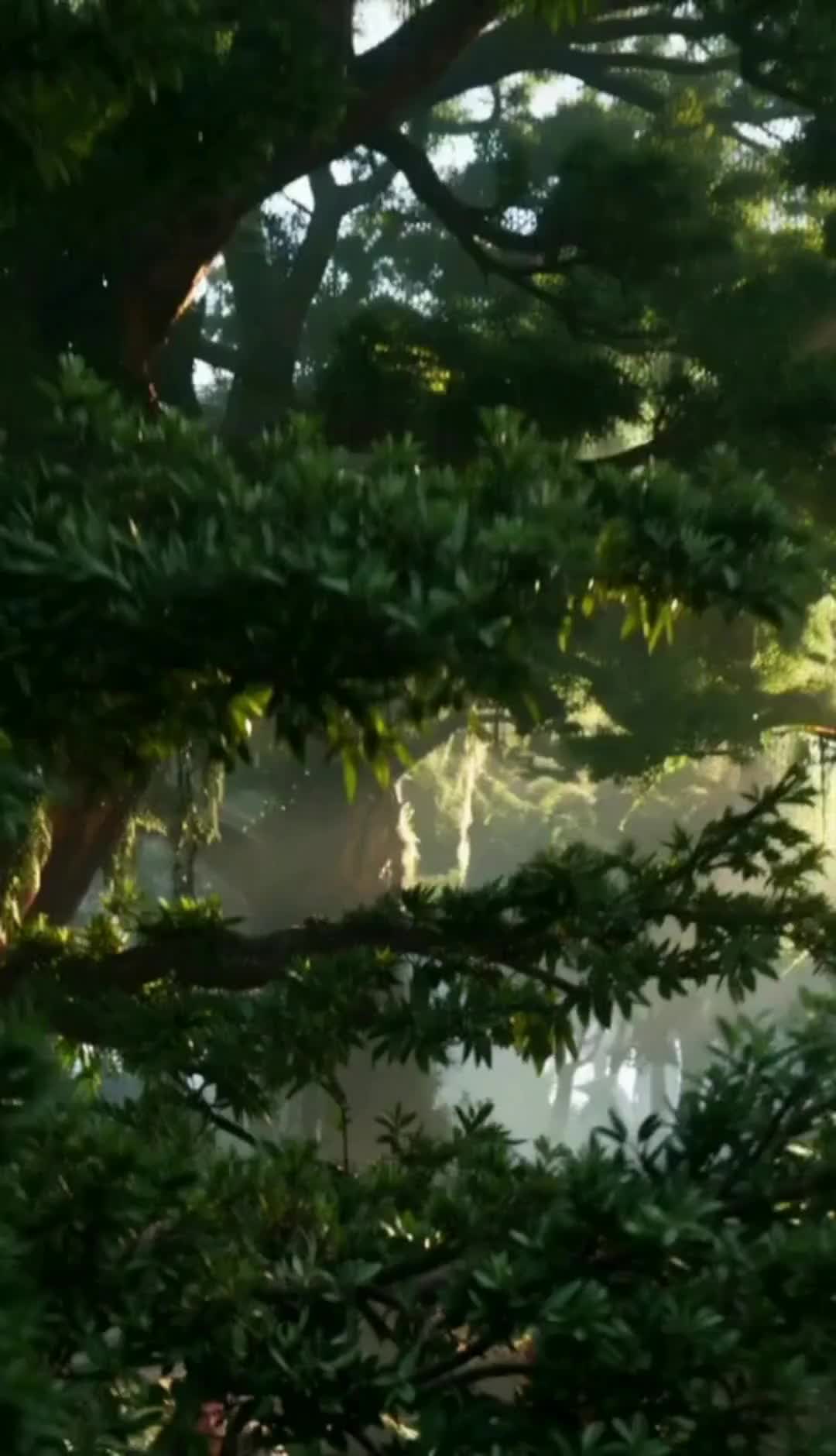 黒豹の番として転生した私