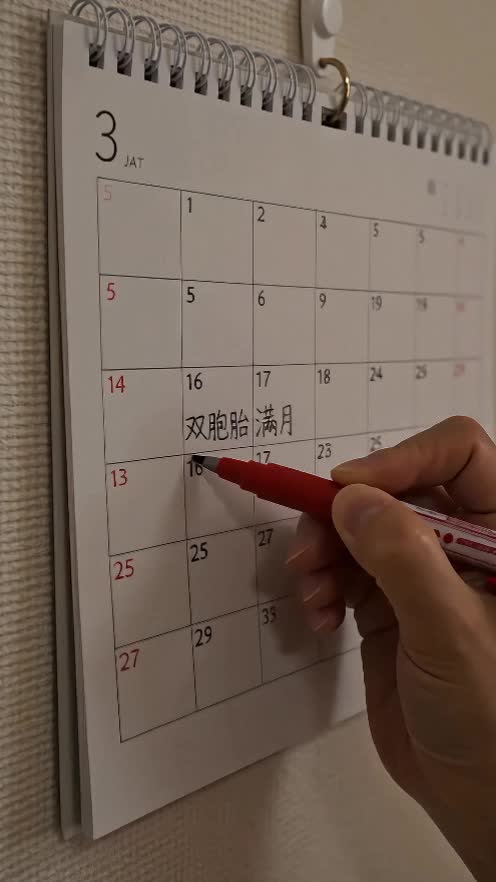 捨てられた妻を迎えに来たのは、世界一の家族でした~離婚した日から始まる、溺愛逆転人生~