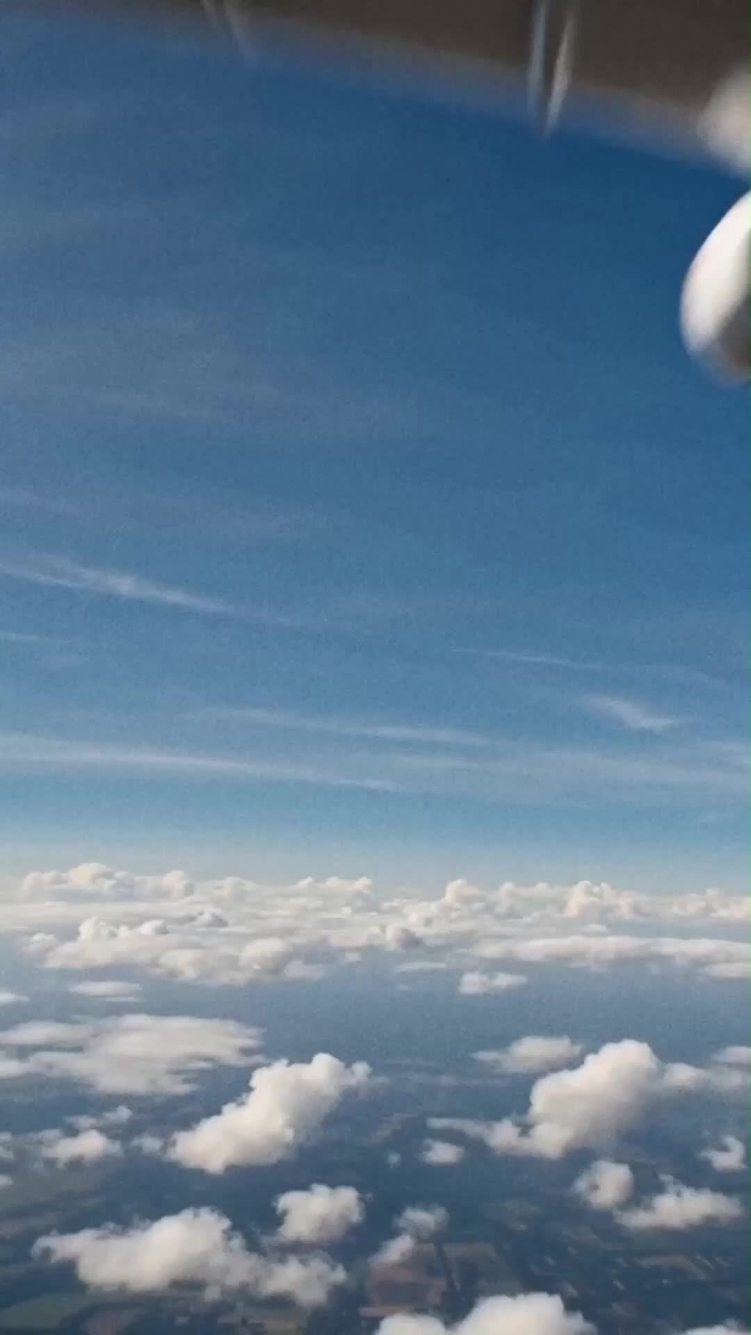 Loco por un Buen Chico