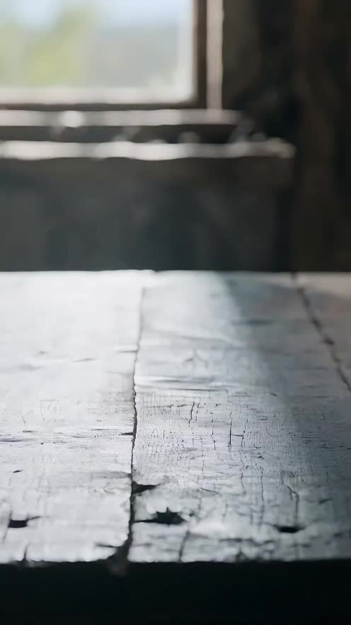 逆襲為狼王：廢狼的復仇