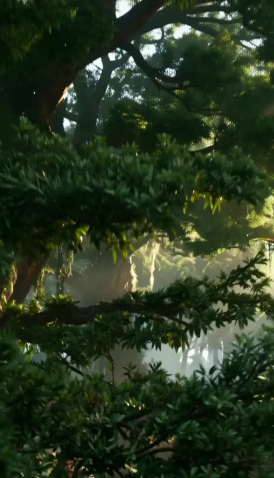 重生為黑豹的伴侶