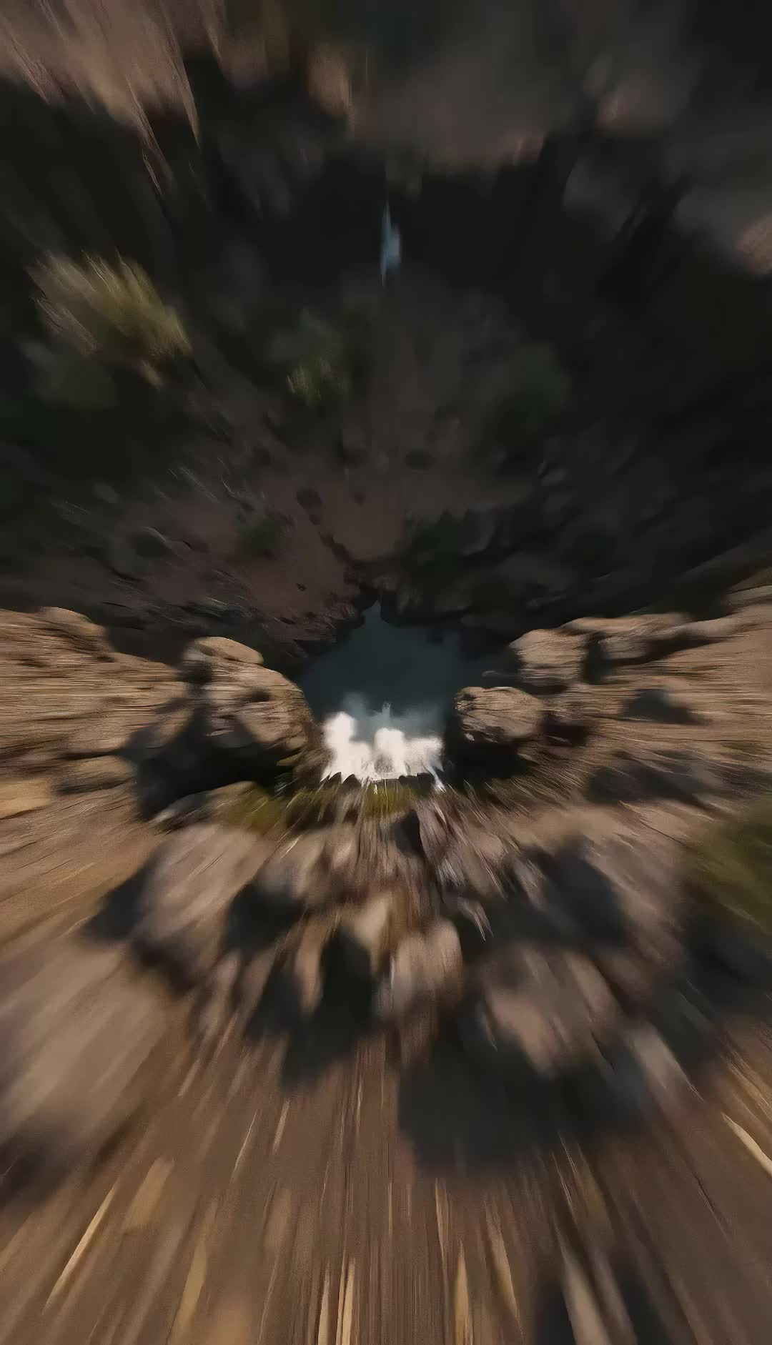 Code of the Wild