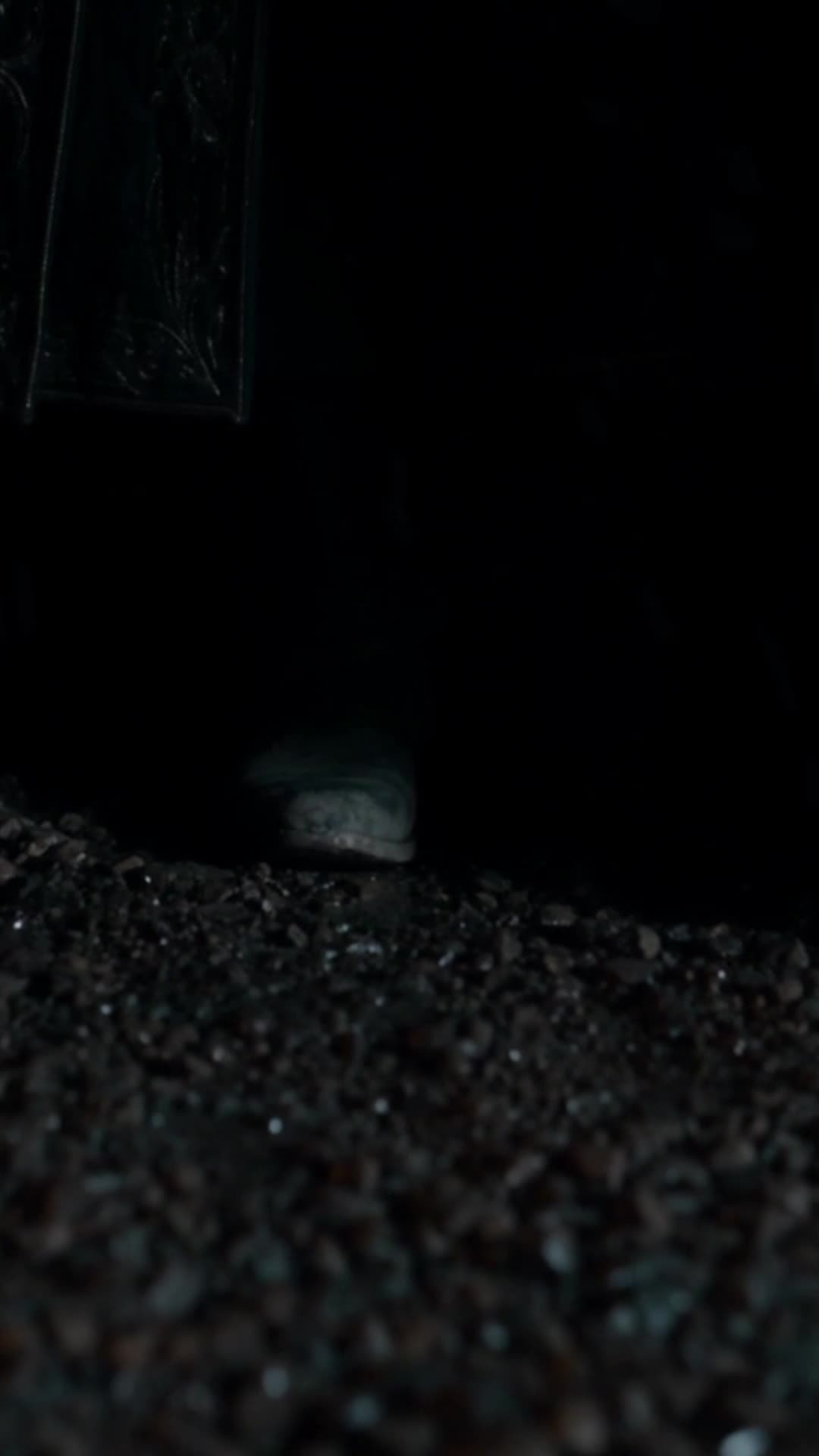 The Forsaken Hybrid Returns