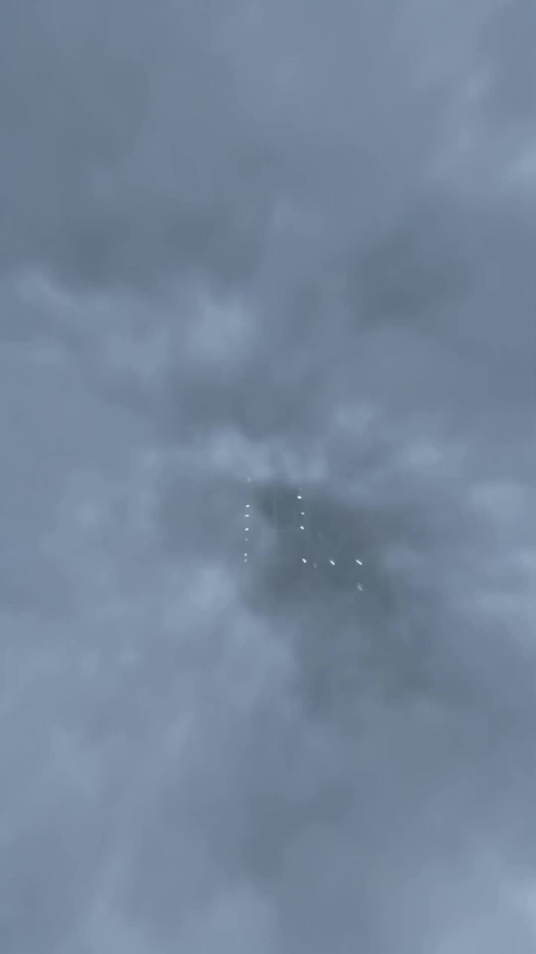 The Silent Girl Tames Feral Sentinels