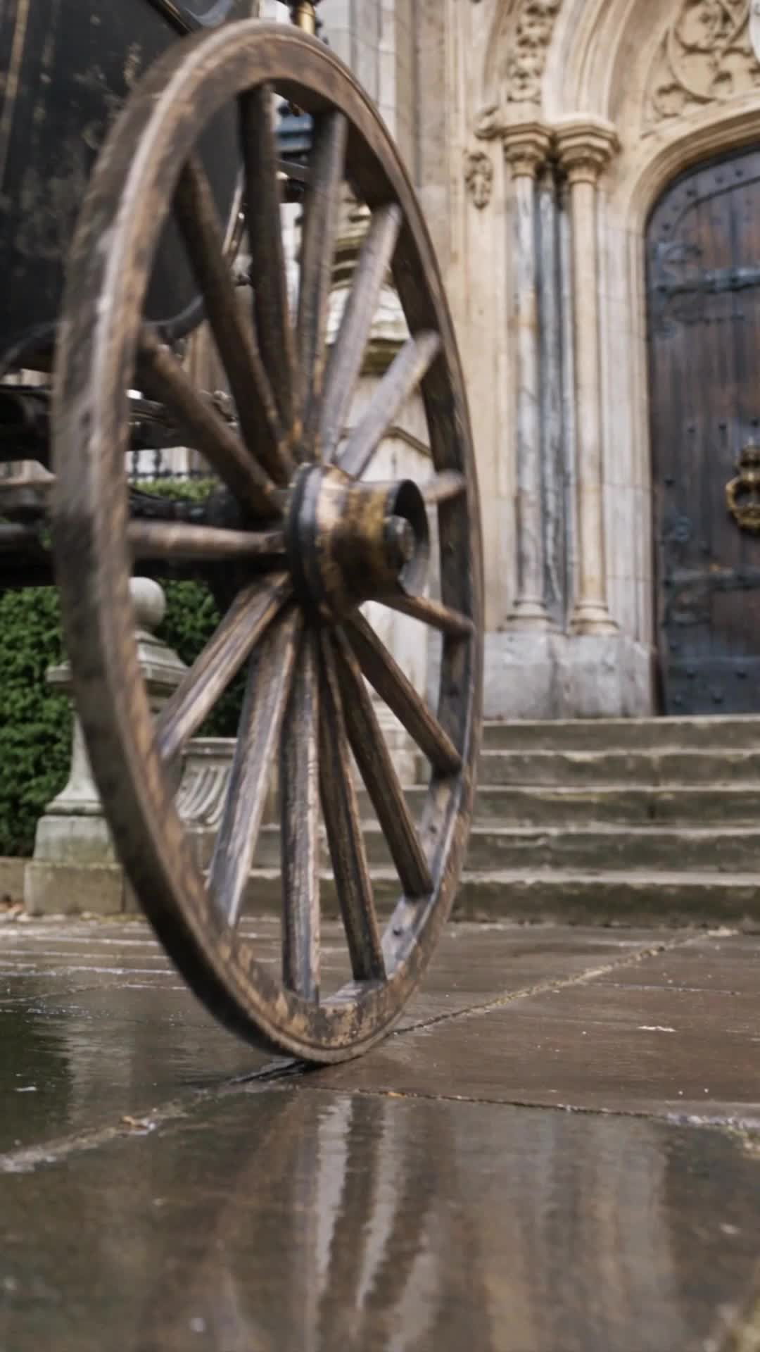 Twisted Fates: The Cinderella Lie