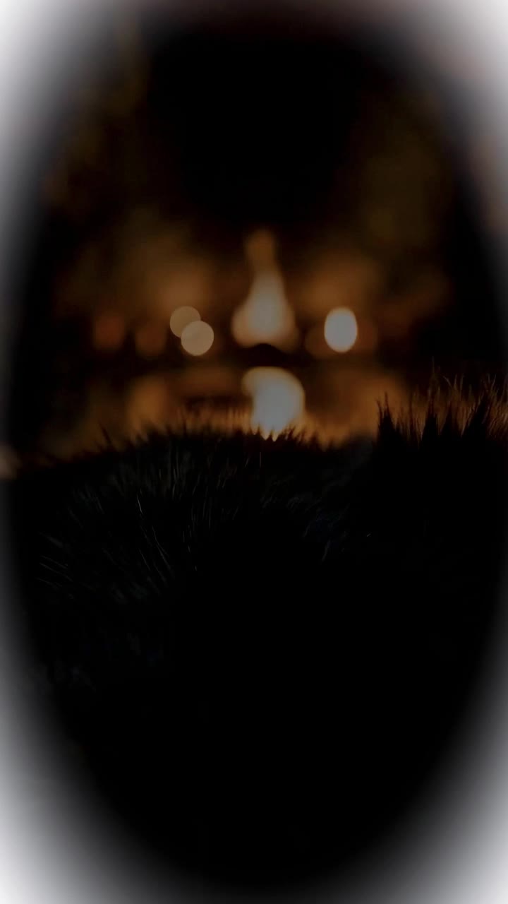She Returned Beneath the Panther Moon