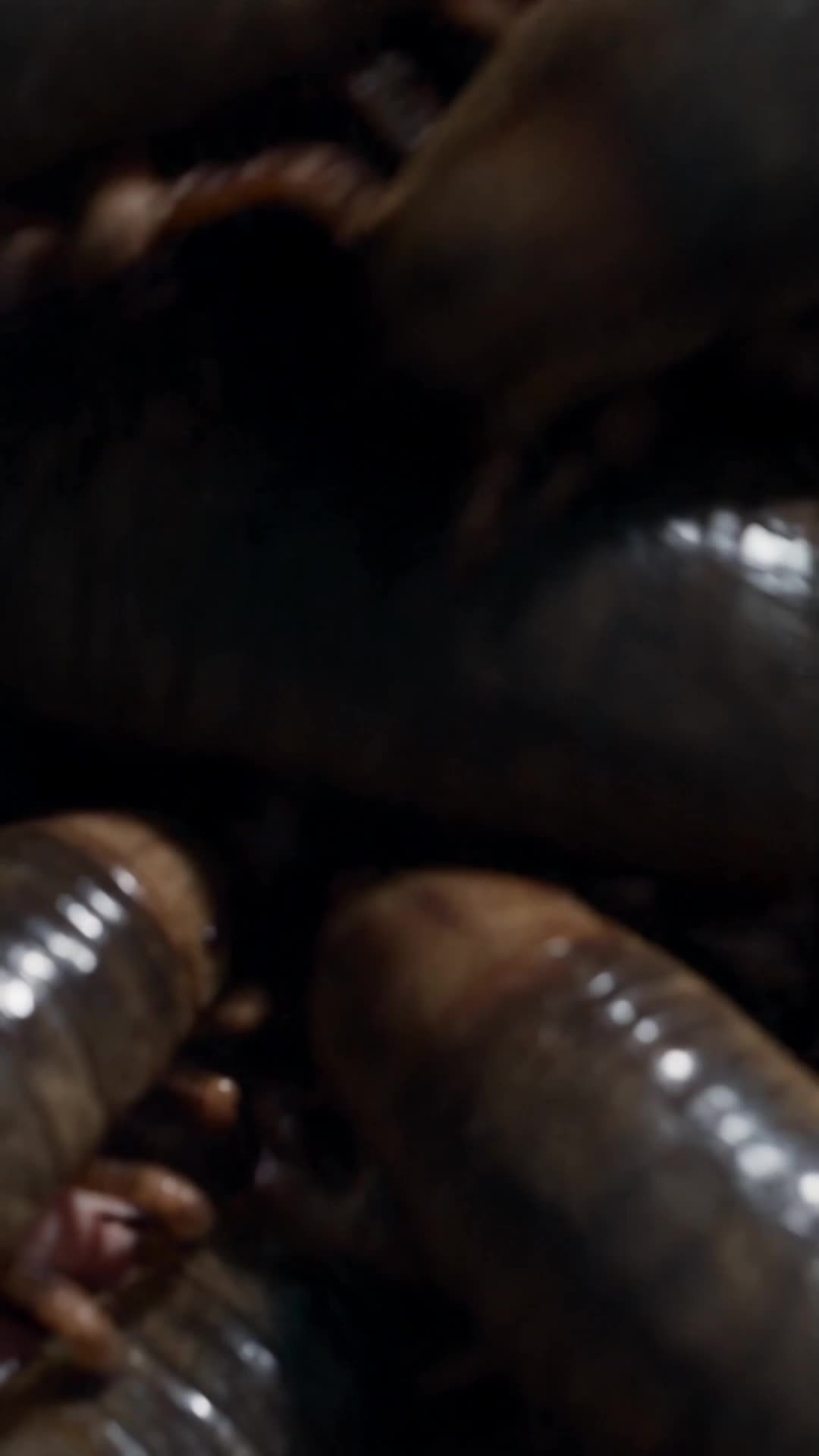 I Was Matched to Seven SSS Beast Husbands