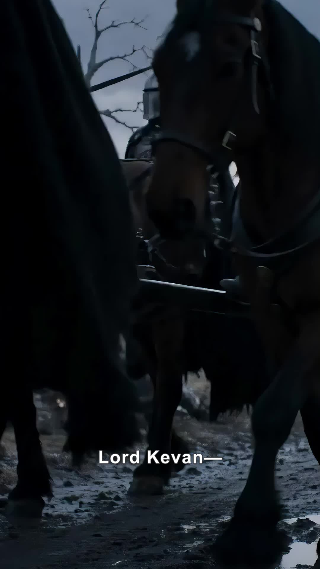 After Saving the Kingdom, They Betrayed Me