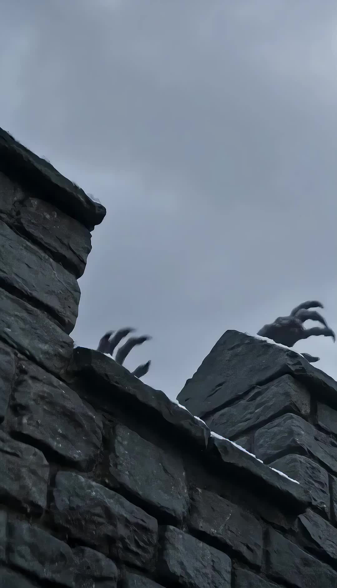 After Saving the Kingdom, They Betrayed Me
