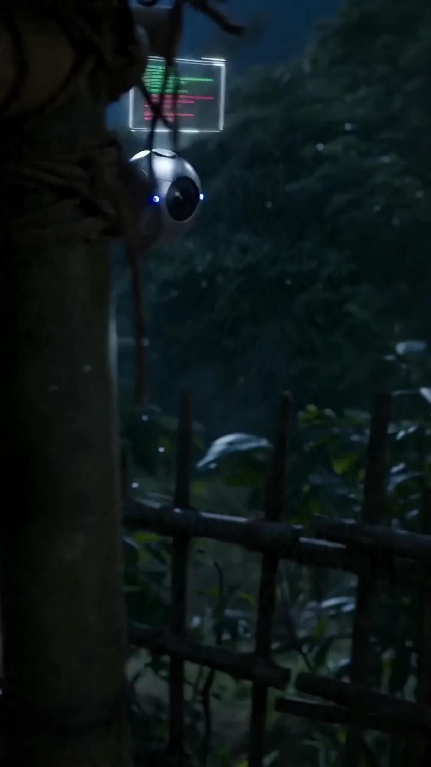 Leis da Selva