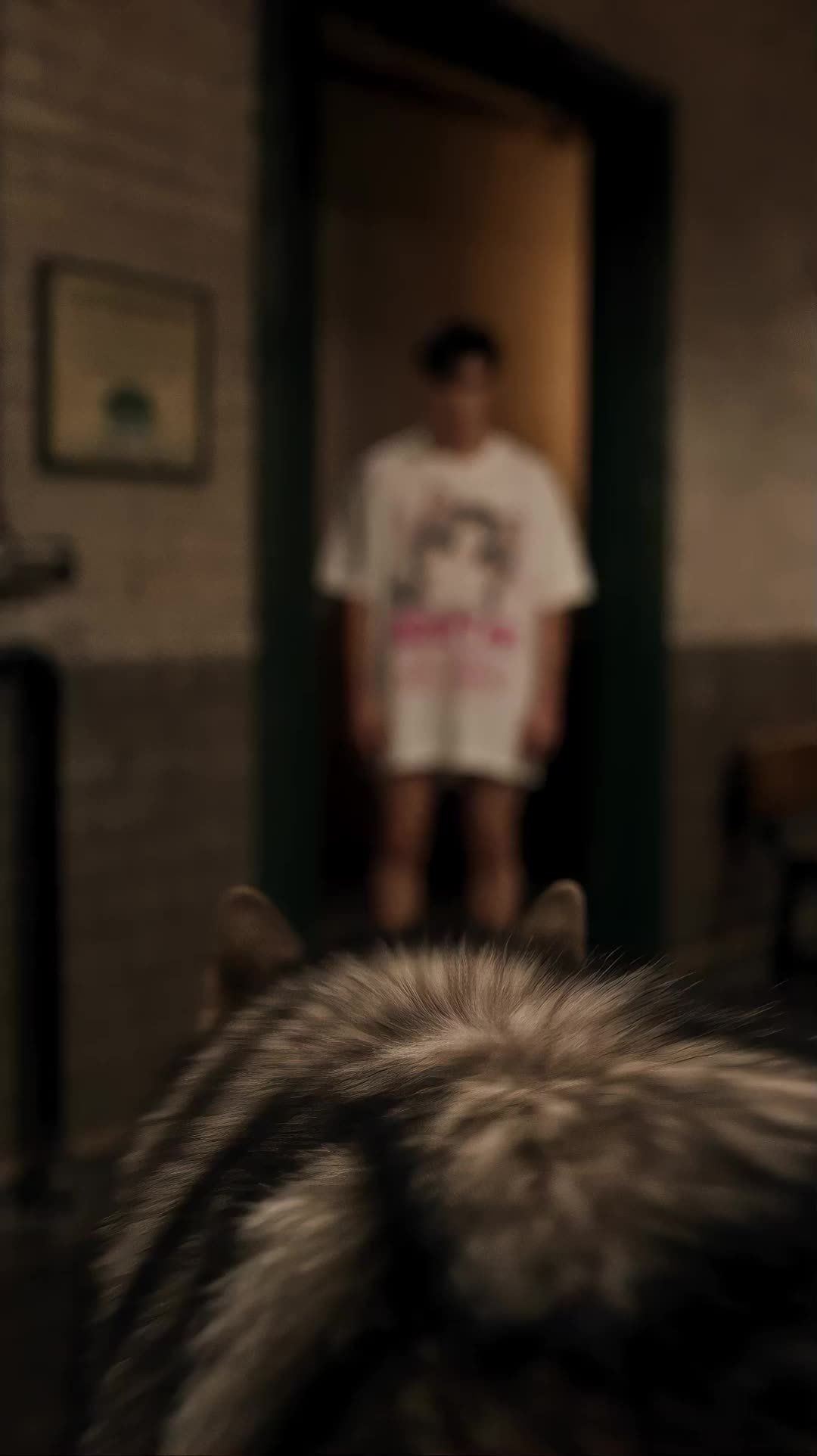 動物偵探